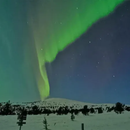 Leilighet Gorgeous In Espedalen