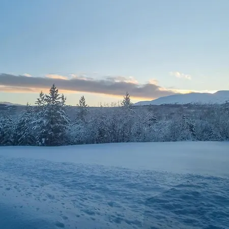 Gorgeous In Apartment Espedalen